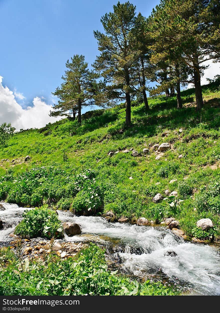 Summer landscape with green grass, mountains and river. Summer landscape with green grass, mountains and river