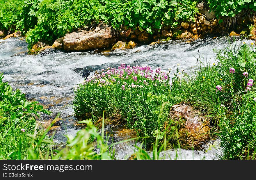 Summer landscape with green grass, mountains and river. Summer landscape with green grass, mountains and river