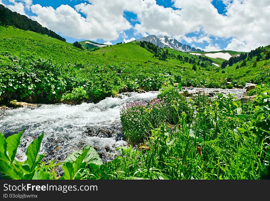 Summer landscape with green grass, mountains and river. Summer landscape with green grass, mountains and river