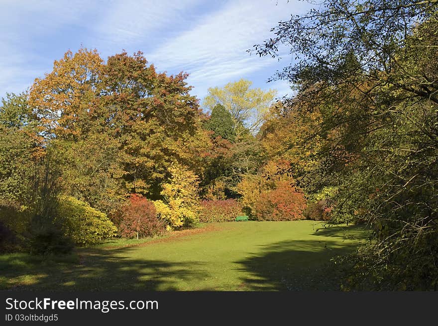 Autumn splendour