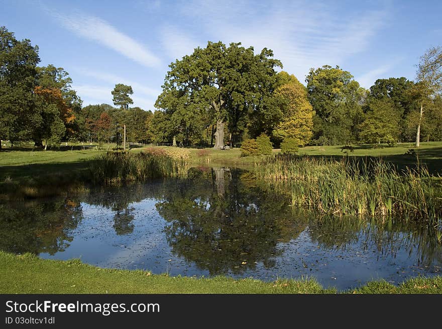 Autumn splendour