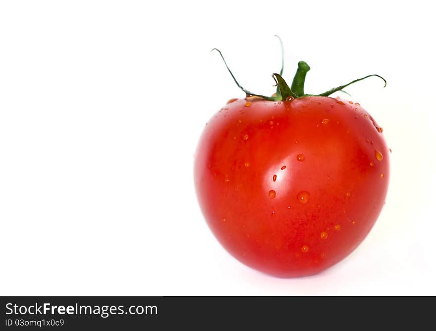 Juicy Tomatos isolated on White Background. Juicy Tomatos isolated on White Background