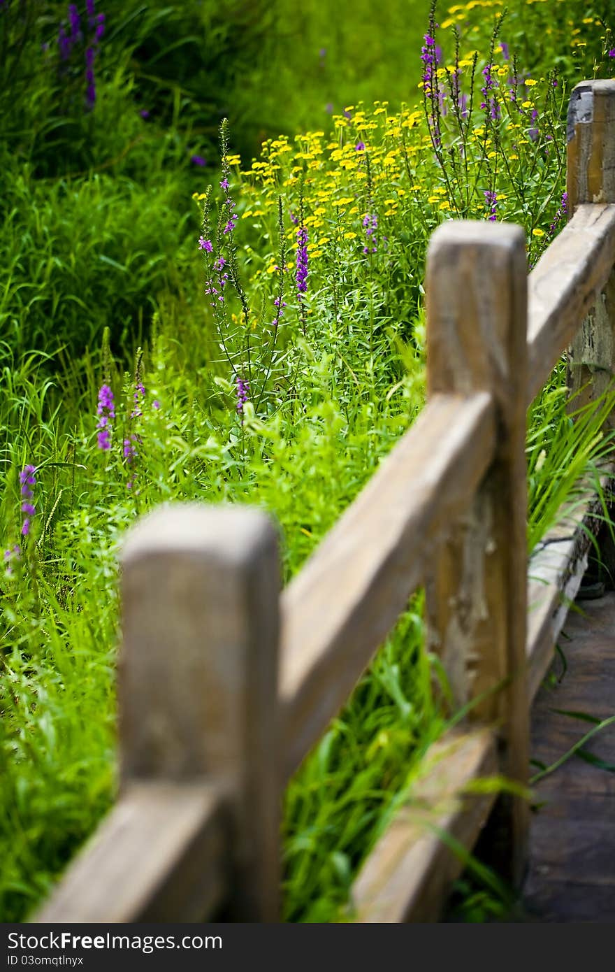 Wooden Garden Fence