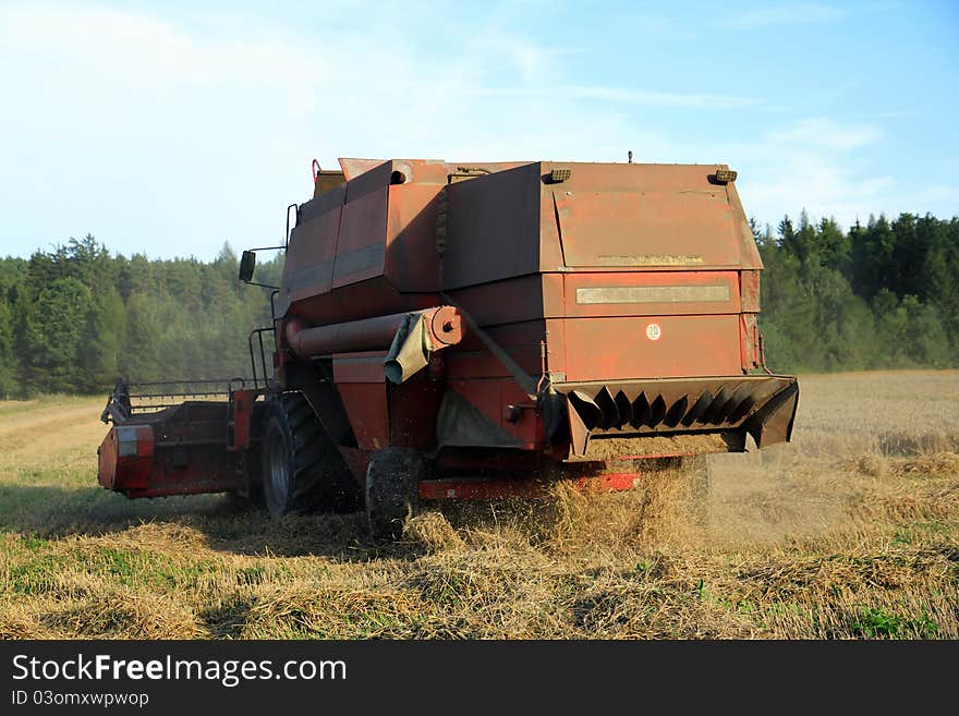 Summer harvesting of corn in the Czech republic