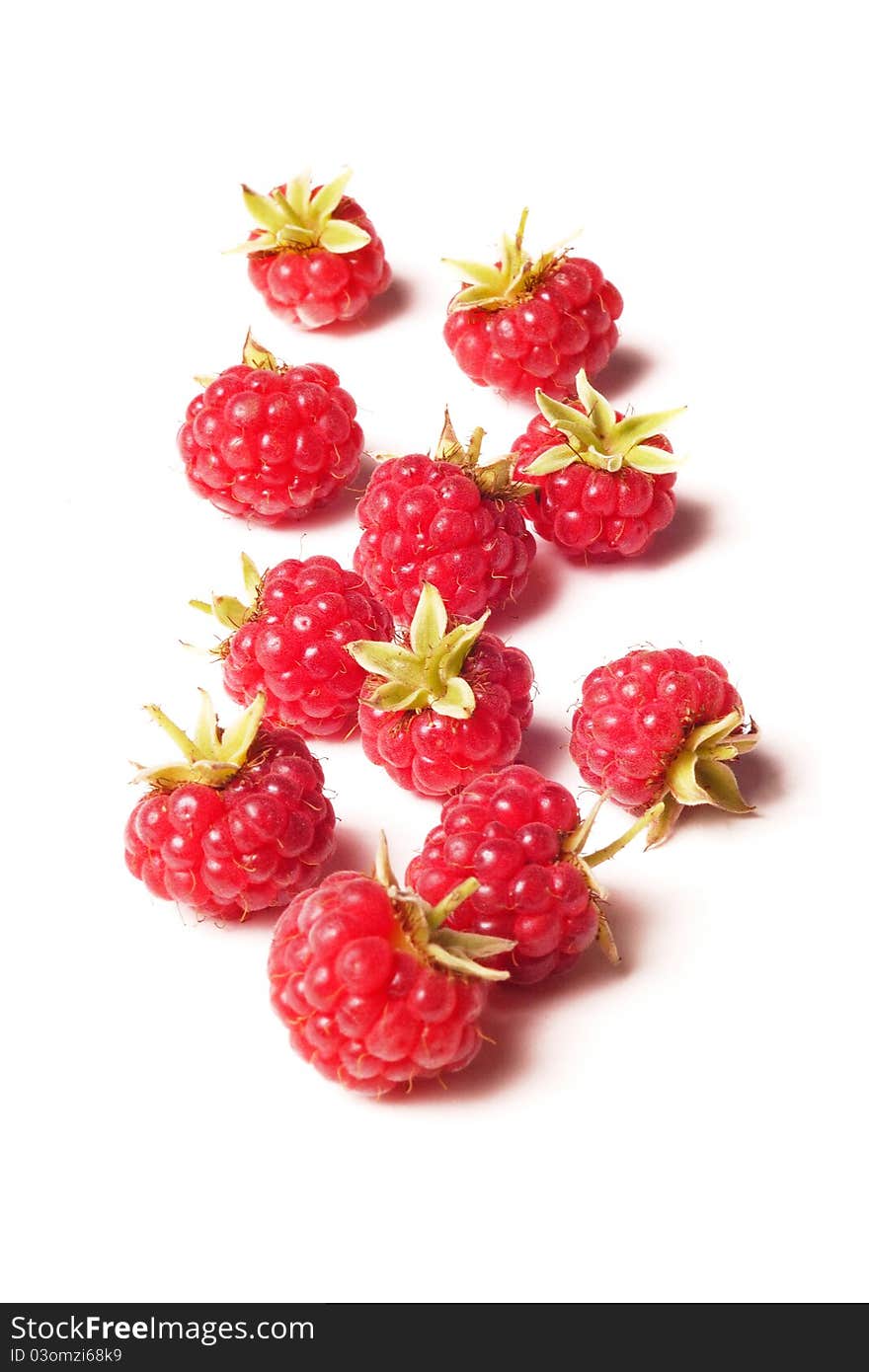 Raspberry  On White