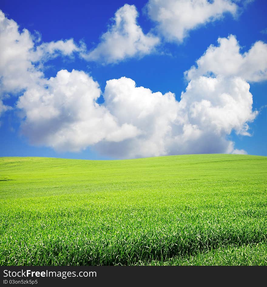 Green field and sky