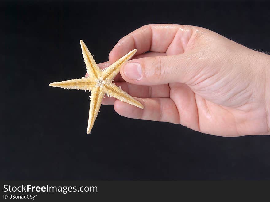 Hand of a man pulled from the sea starfish isolated on black background. Hand of a man pulled from the sea starfish isolated on black background