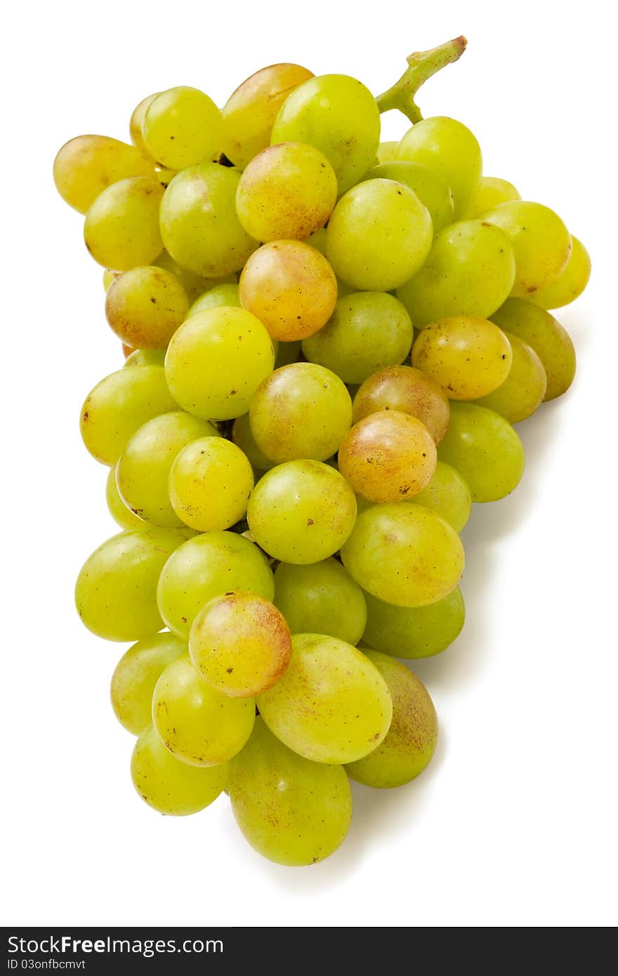 Vivid green grape on white background