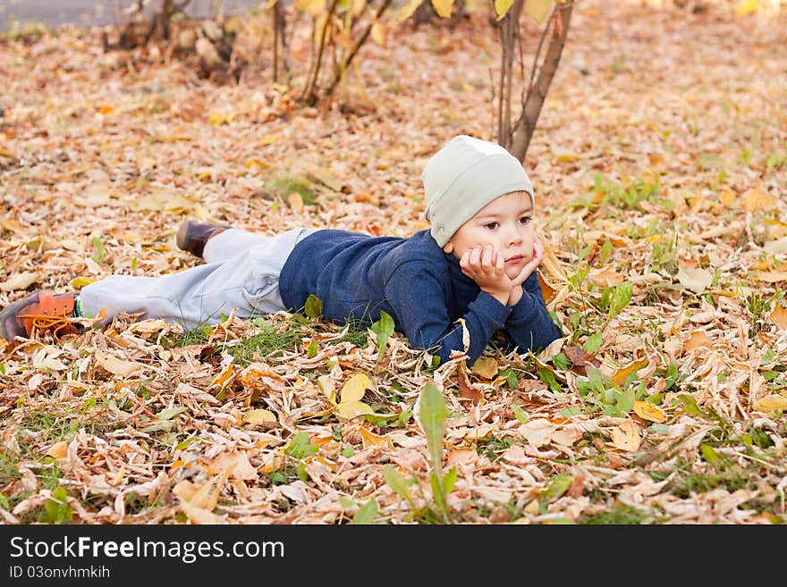 Little happy boy walking in autumnal park