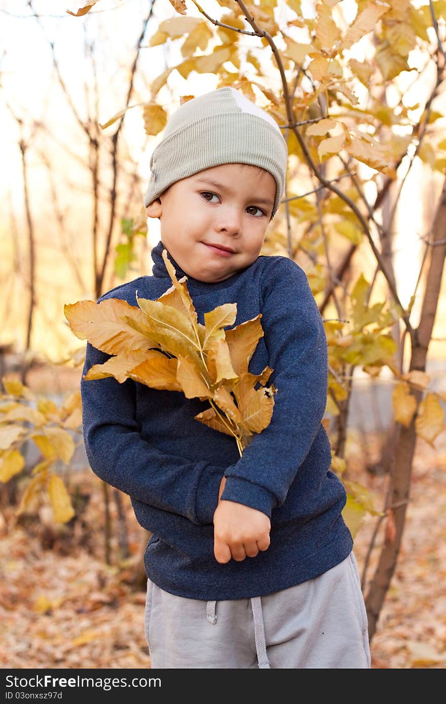 Boy walking in autumnal park