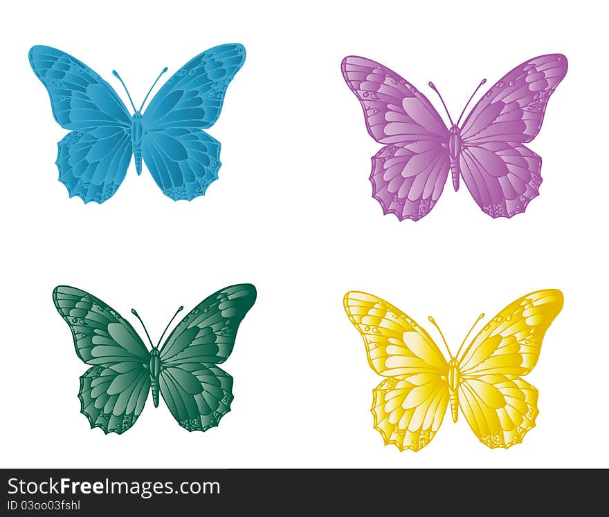 Detailed butterfly in four colors