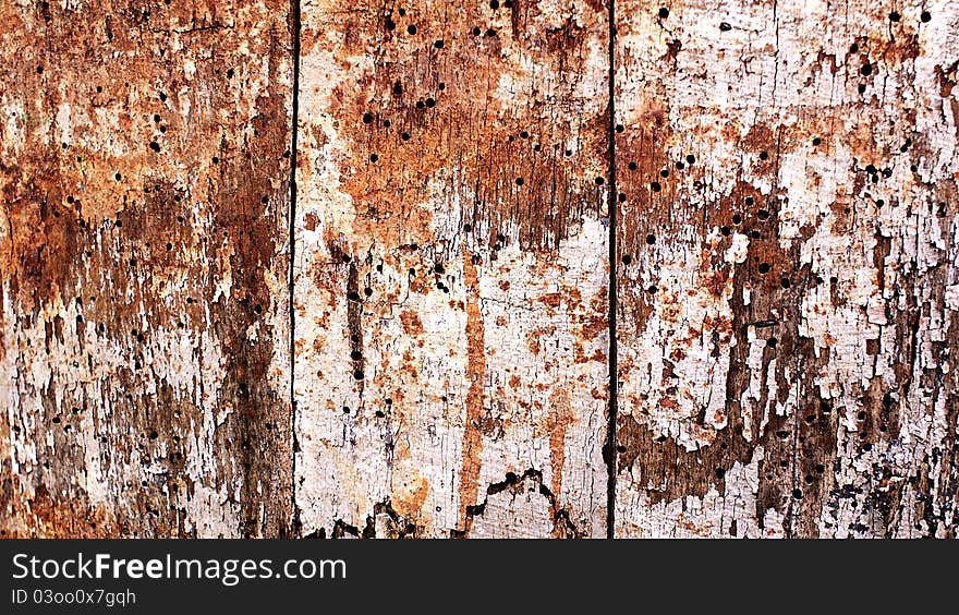 Part of a rotten wooden door