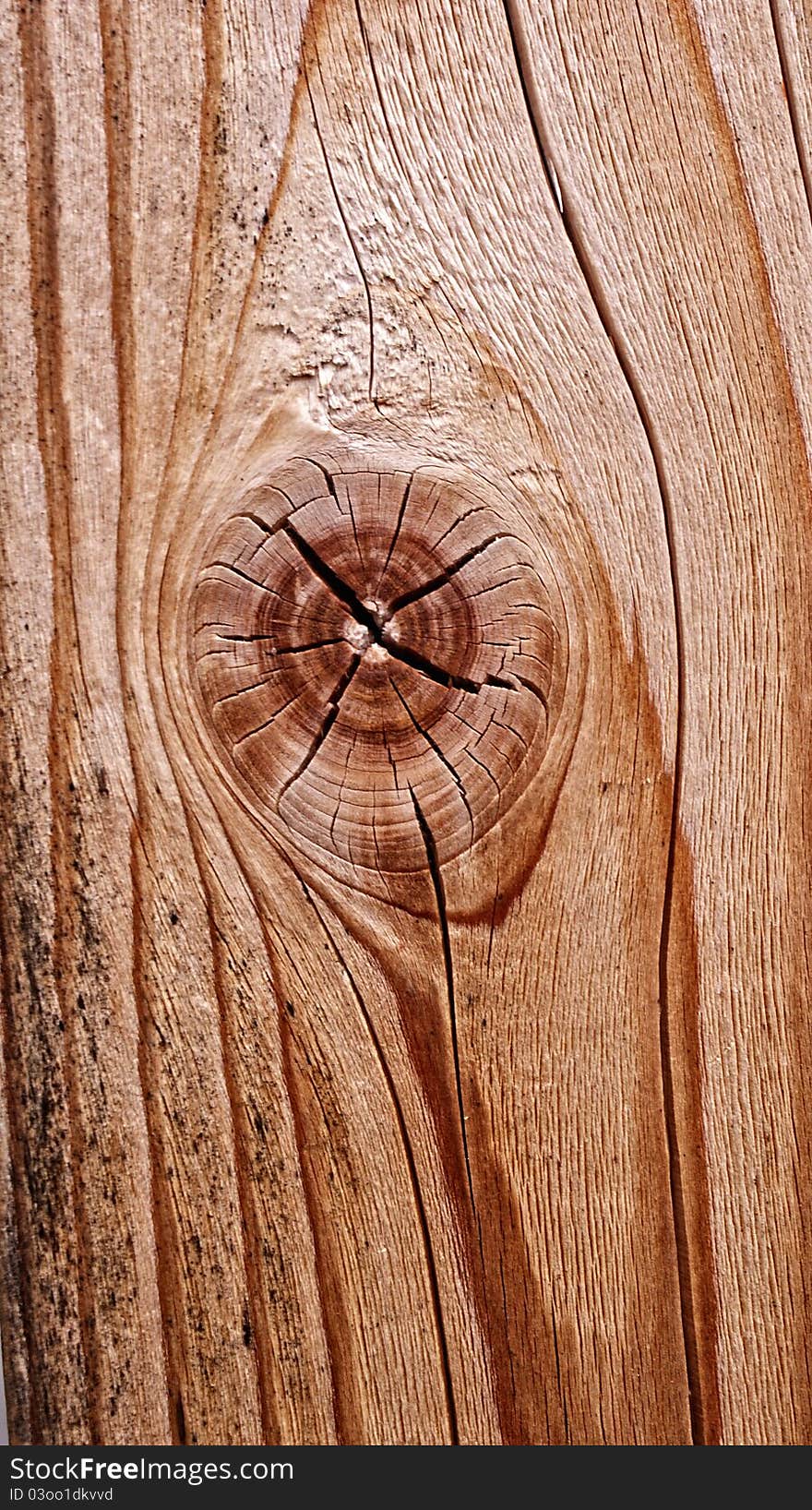 Part of a wooden 2x4. Part of a wooden 2x4