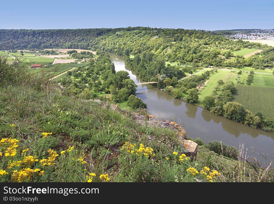 Beautiful Vineyard Landscape with river Neckar