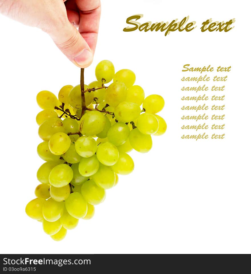 Hand with a bunch of grapes on a white with sample text