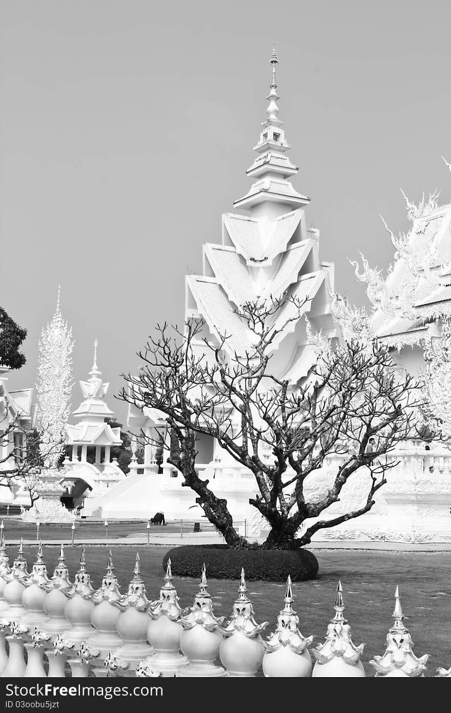 Died tree is in front of white pagoda. Died tree is in front of white pagoda.