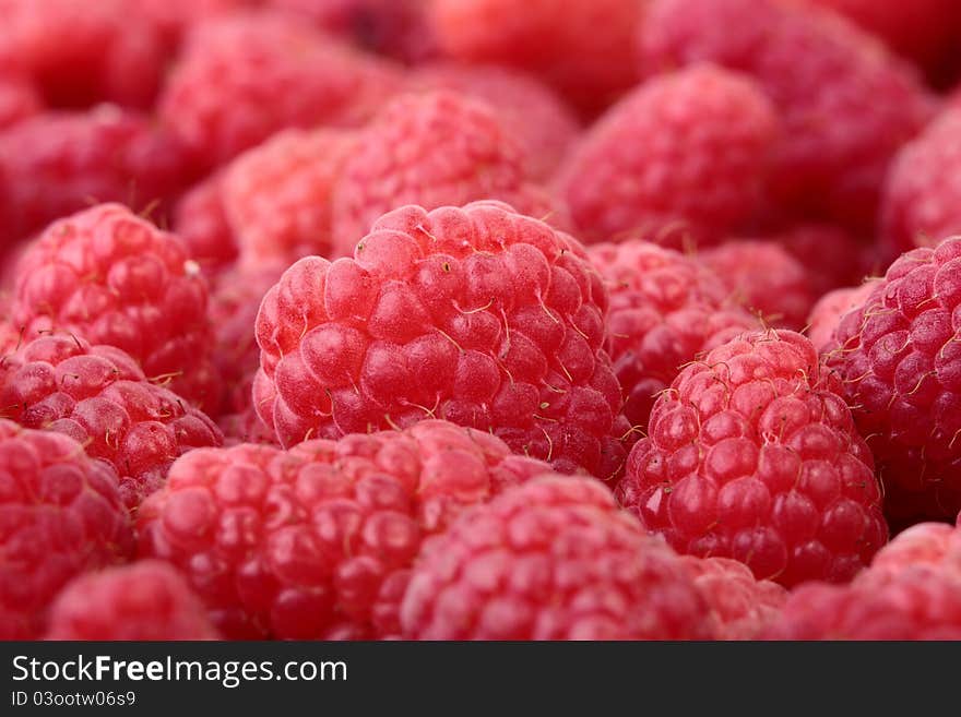 Raspberries Close-up