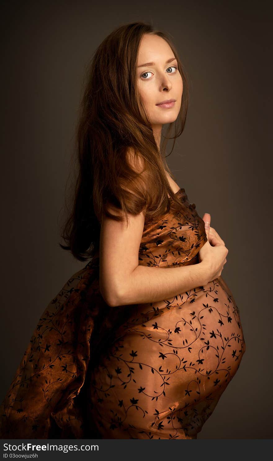 Beautiful Pregnant Woman