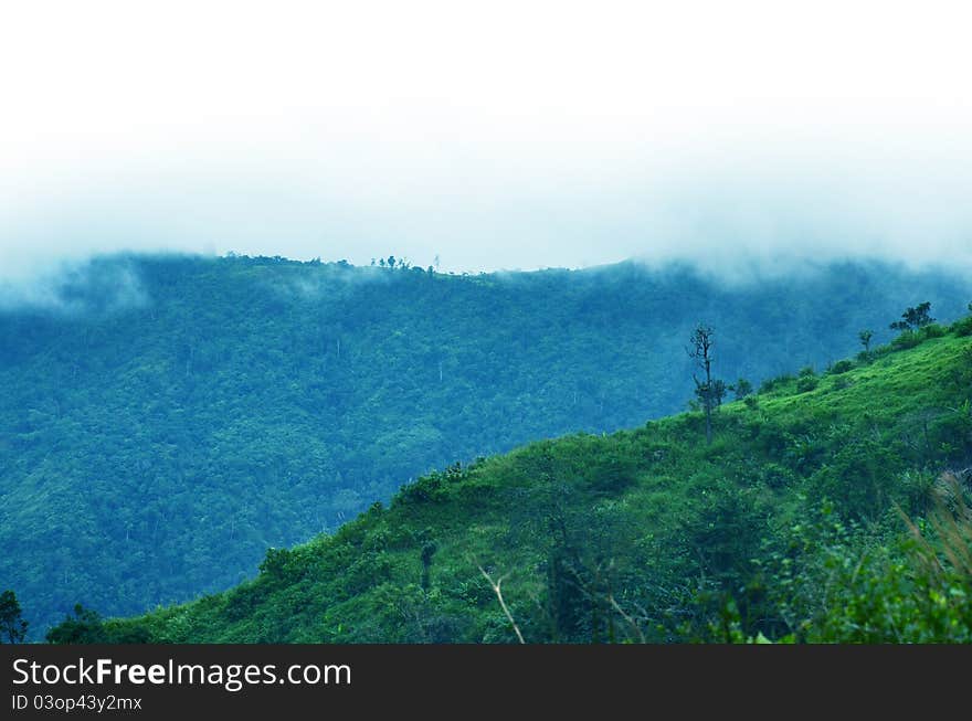 Mountains In A Fog. Blue Tint.