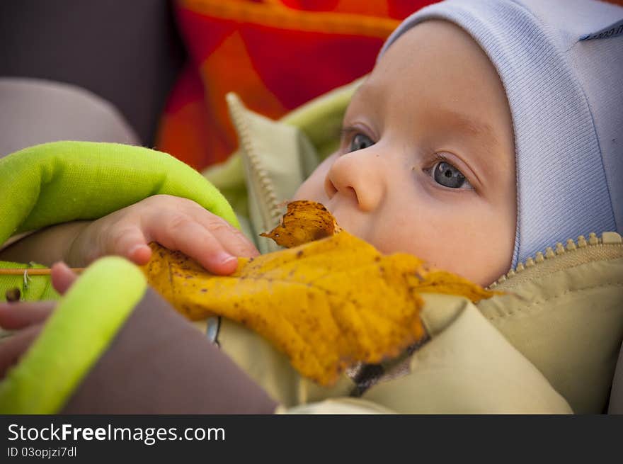 Little boy holding a leaf. Little boy holding a leaf.