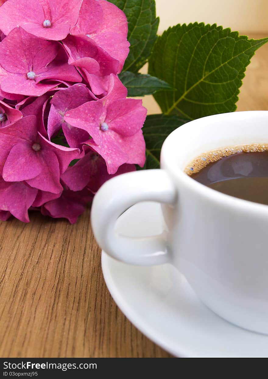 Cup of coffee and pink hydrangea