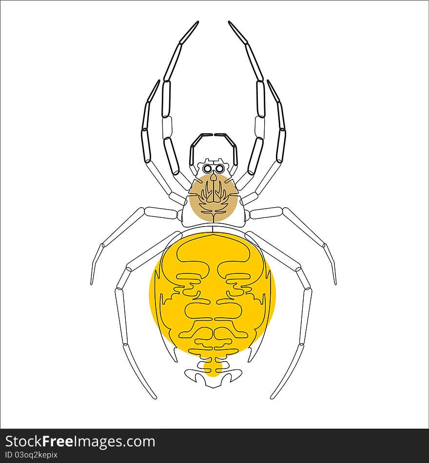 Modern spider. Vector