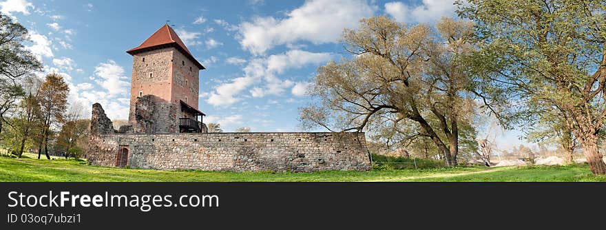 Old mysterious castle panorama