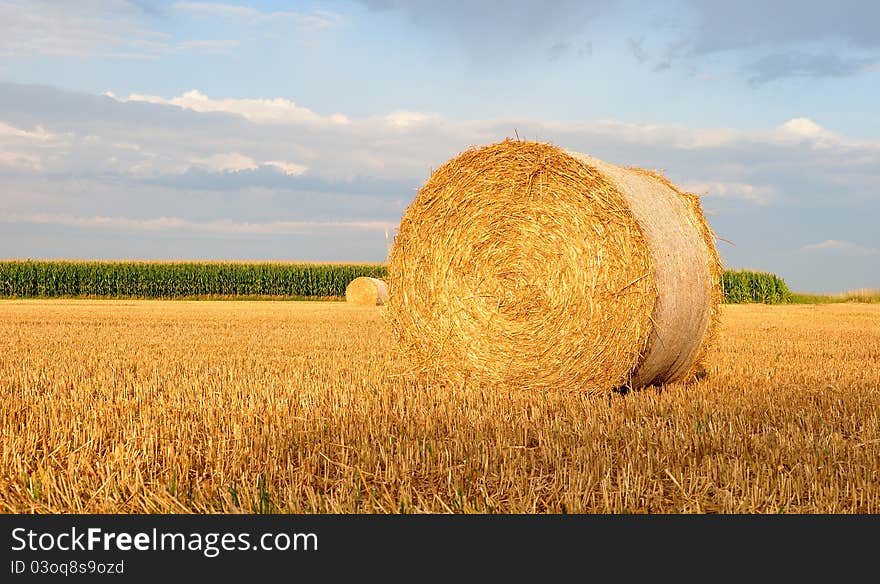 Golden hay bale on a field. Golden hay bale on a field.