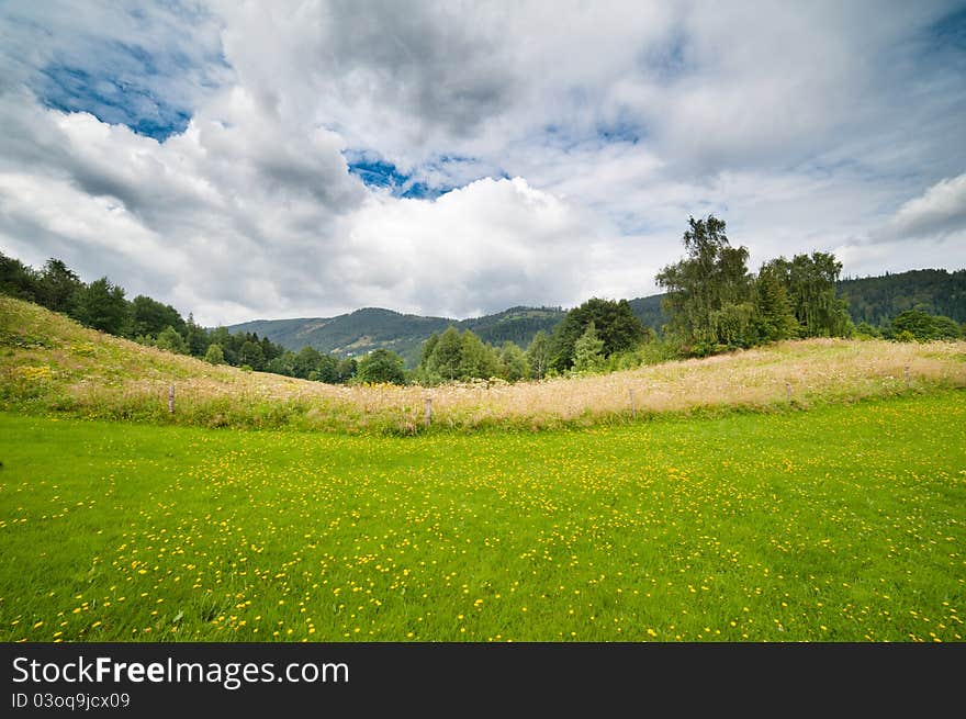 Green valley in the mountain