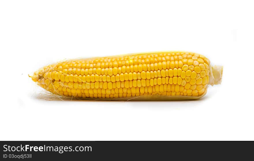 Fresh corn on the white background