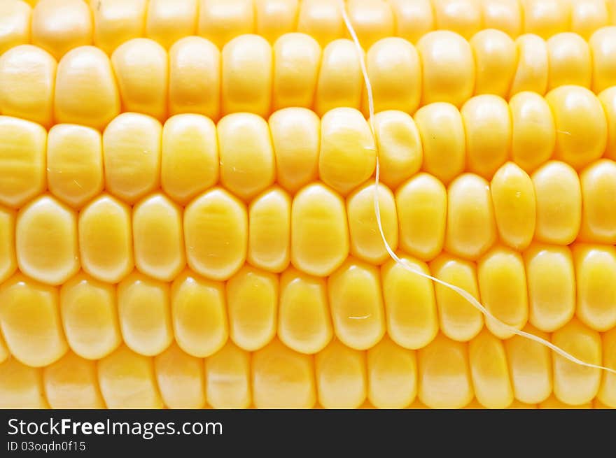 Corn background texture