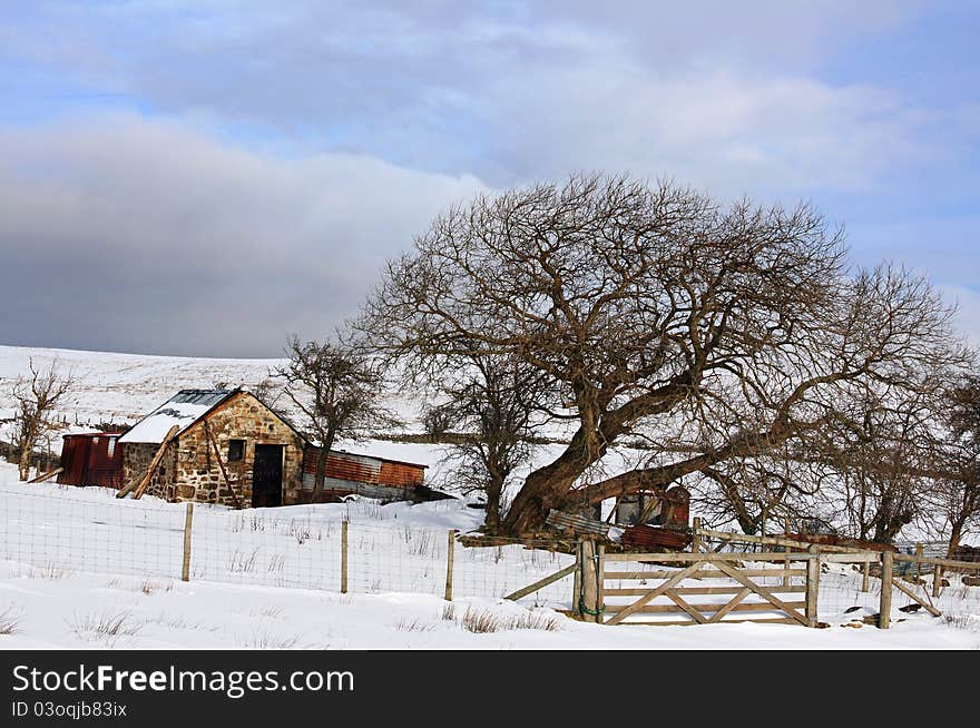 Winter On The Welsh Hills