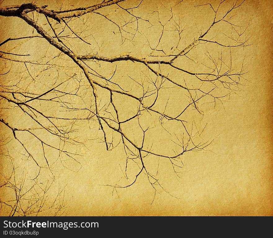 Vintage paper textures. tree without leaves