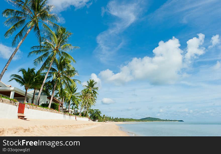 Beautiful house with palm trees on the beach