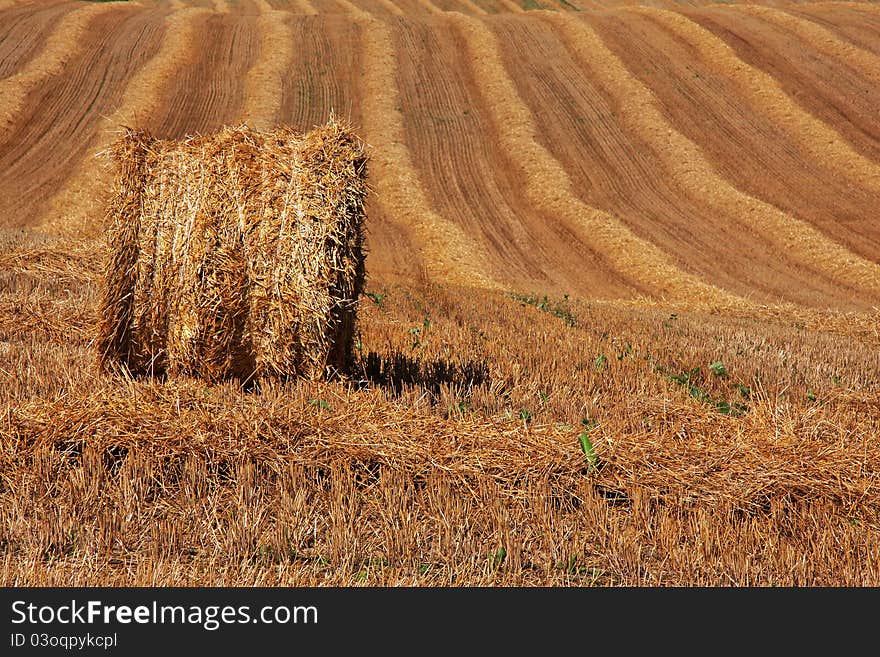 Hay bale on cropped field