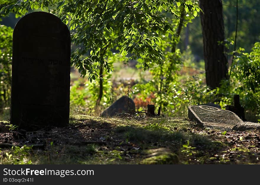 Jewish Cemetery In Otwock &x28;Karczew-Anielin&x29;