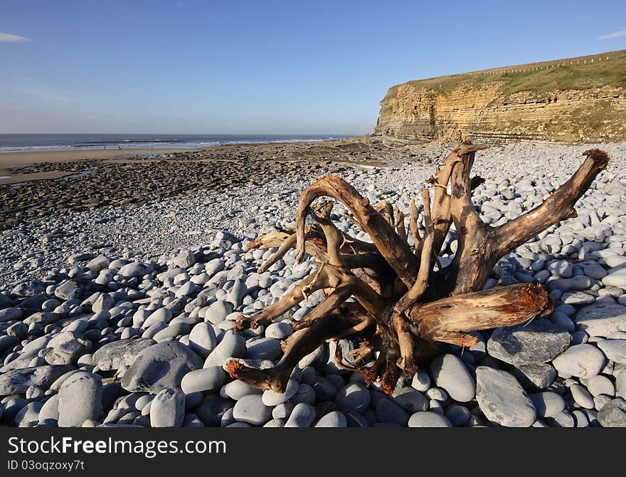 Driftwood on Dunraven Beach