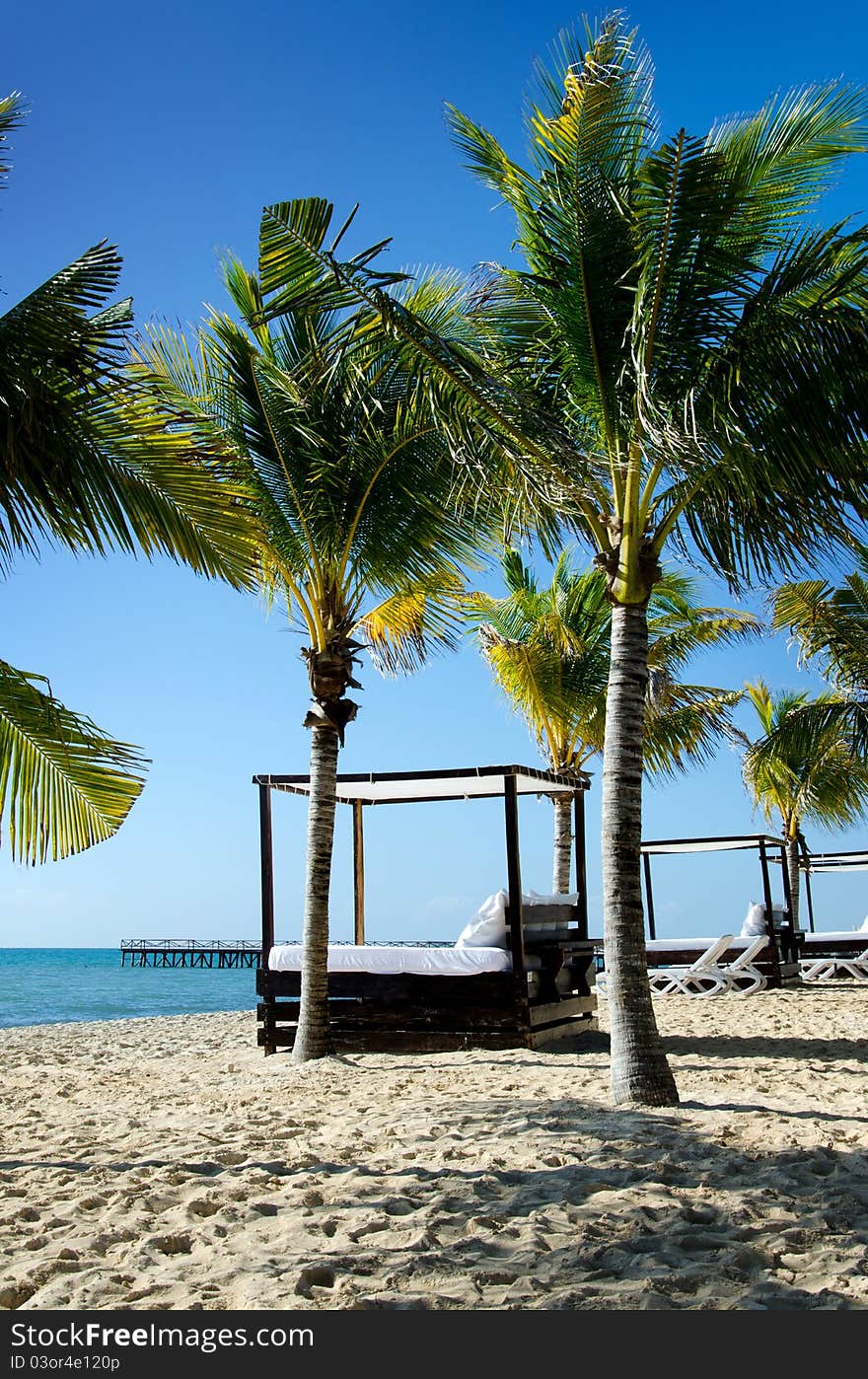 Image of a beautiful beach scene, featuring cabana beds, palm trees, beach, ocean and blue sky. Image of a beautiful beach scene, featuring cabana beds, palm trees, beach, ocean and blue sky