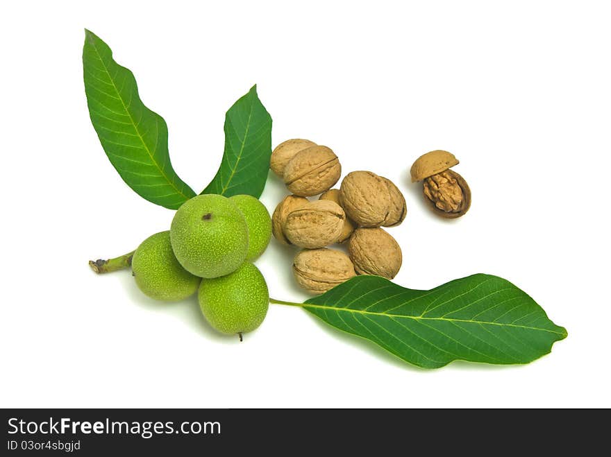 Nut isolated on a white background