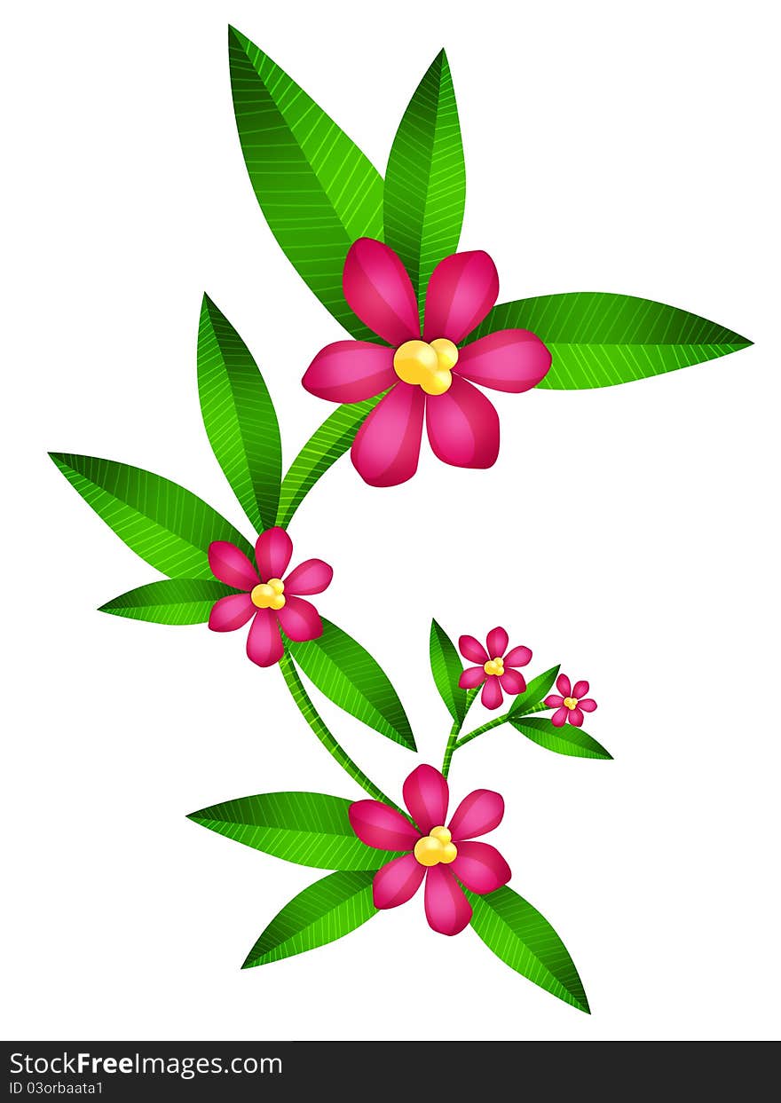 Illustration of Laurel branches flourished, isolated