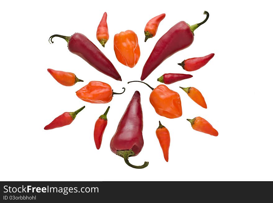 Circular grouping of various hot peppers. Circular grouping of various hot peppers