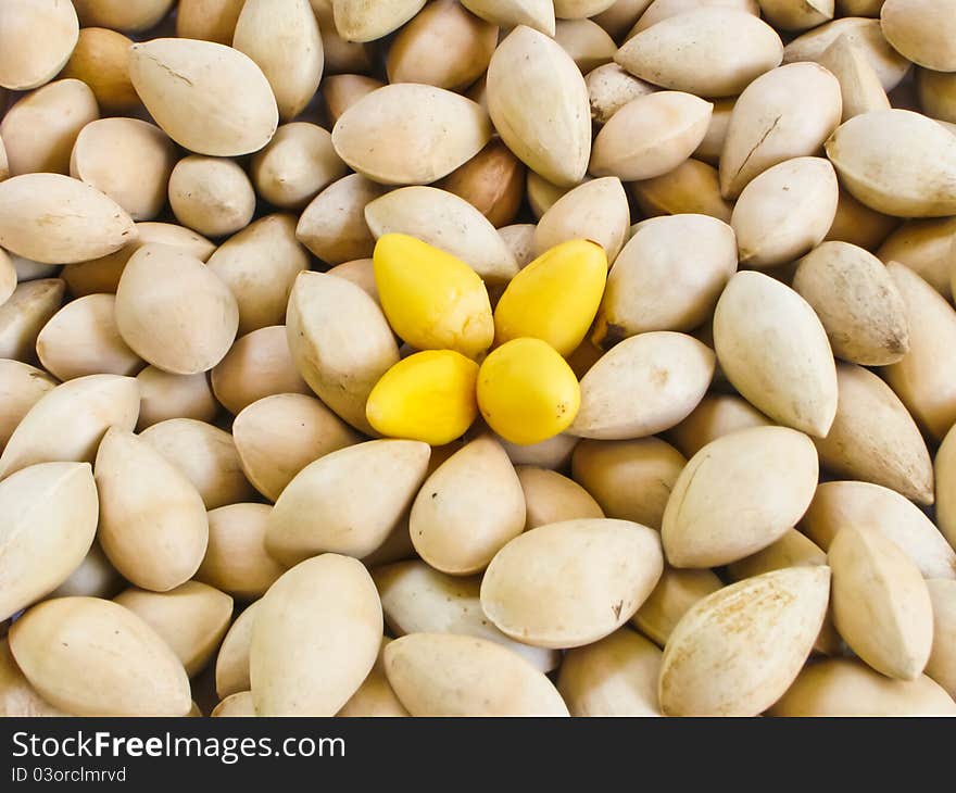 Many of Gingo seeds with shell and with-out shell