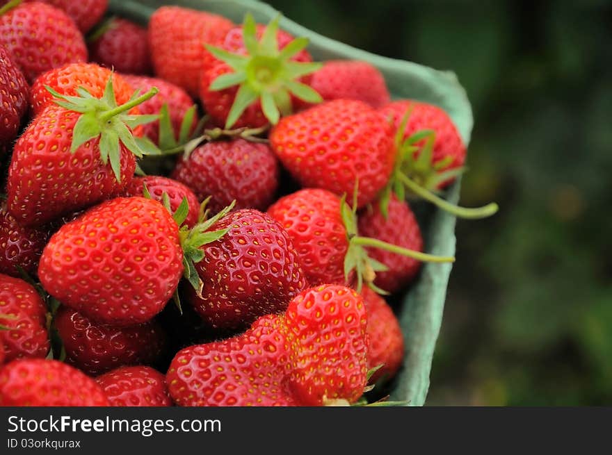 Closeup Of Healthy Fruit