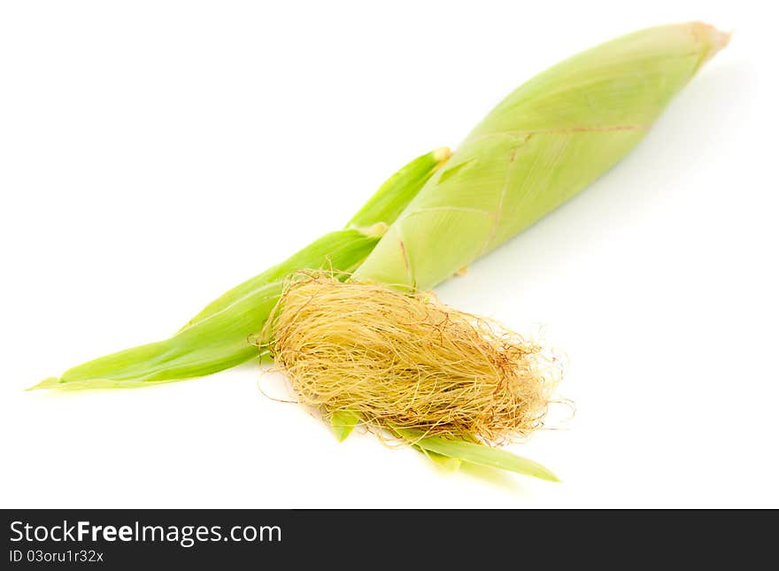 Ear of corn on a white background