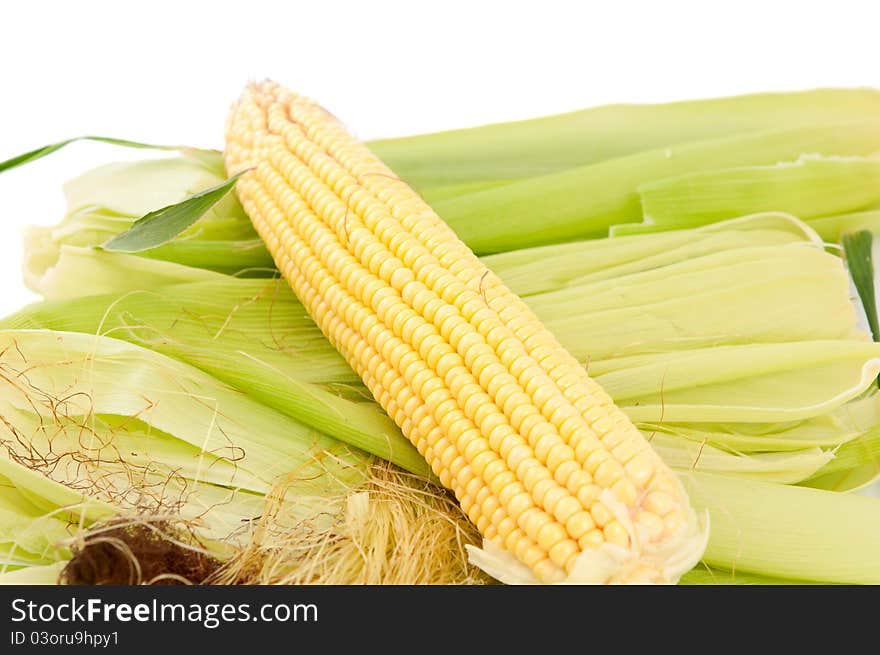 Ear of corn on a white background