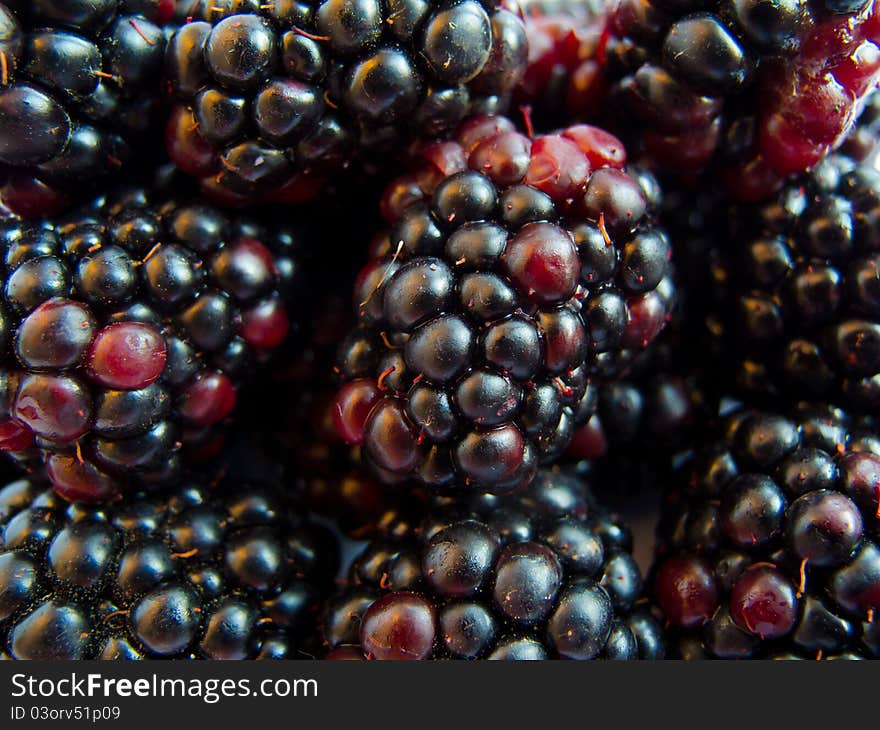 Macro Image Of Blackberry