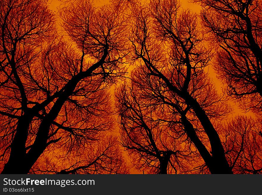 Abstraction background in fiery colors. Abstraction background in fiery colors