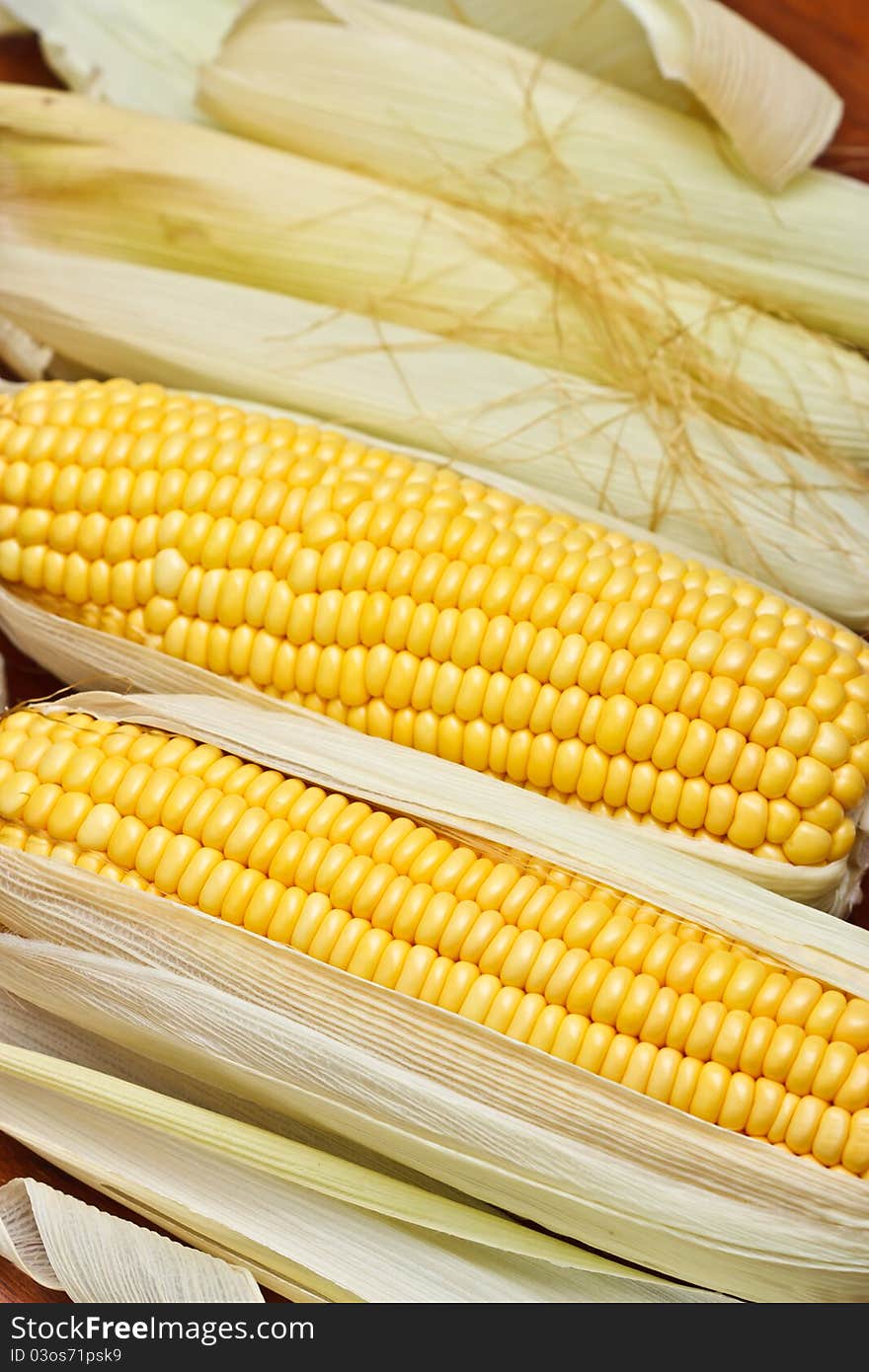 Macro shot of sweet corn. Macro shot of sweet corn