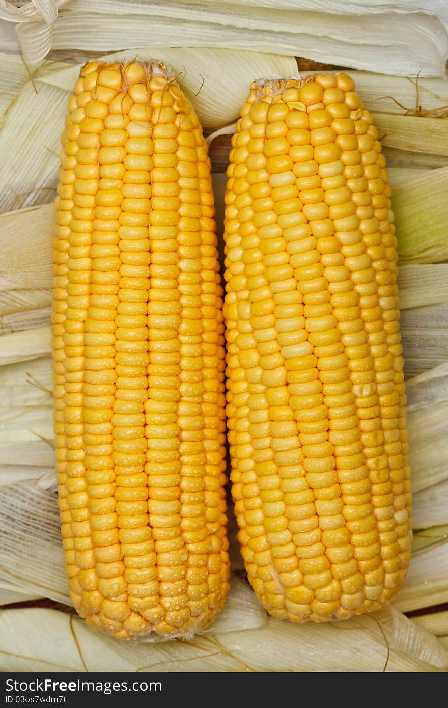 Drop of water on corn. Drop of water on corn