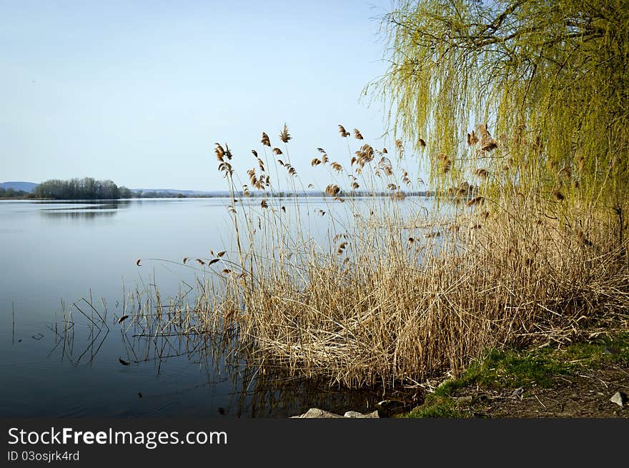 Peace on the lake